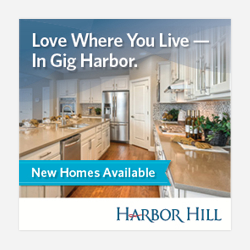 HH_ds3a Image of Harbor Hill digital ad campaign of kitchen interior