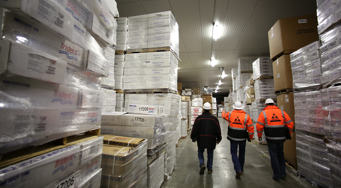 Custom photoshoot of Trico workers walking in warehouse