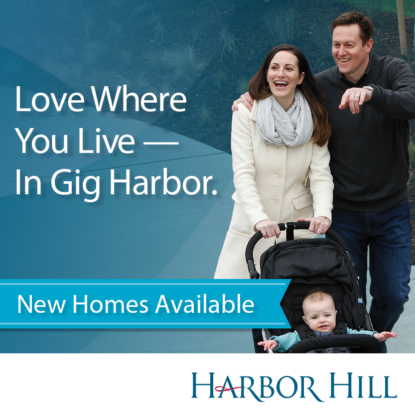 Harbor Hill Digital ad campaign