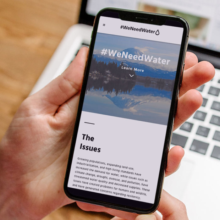 Mobile mockup of We Need Water custom responsive website design