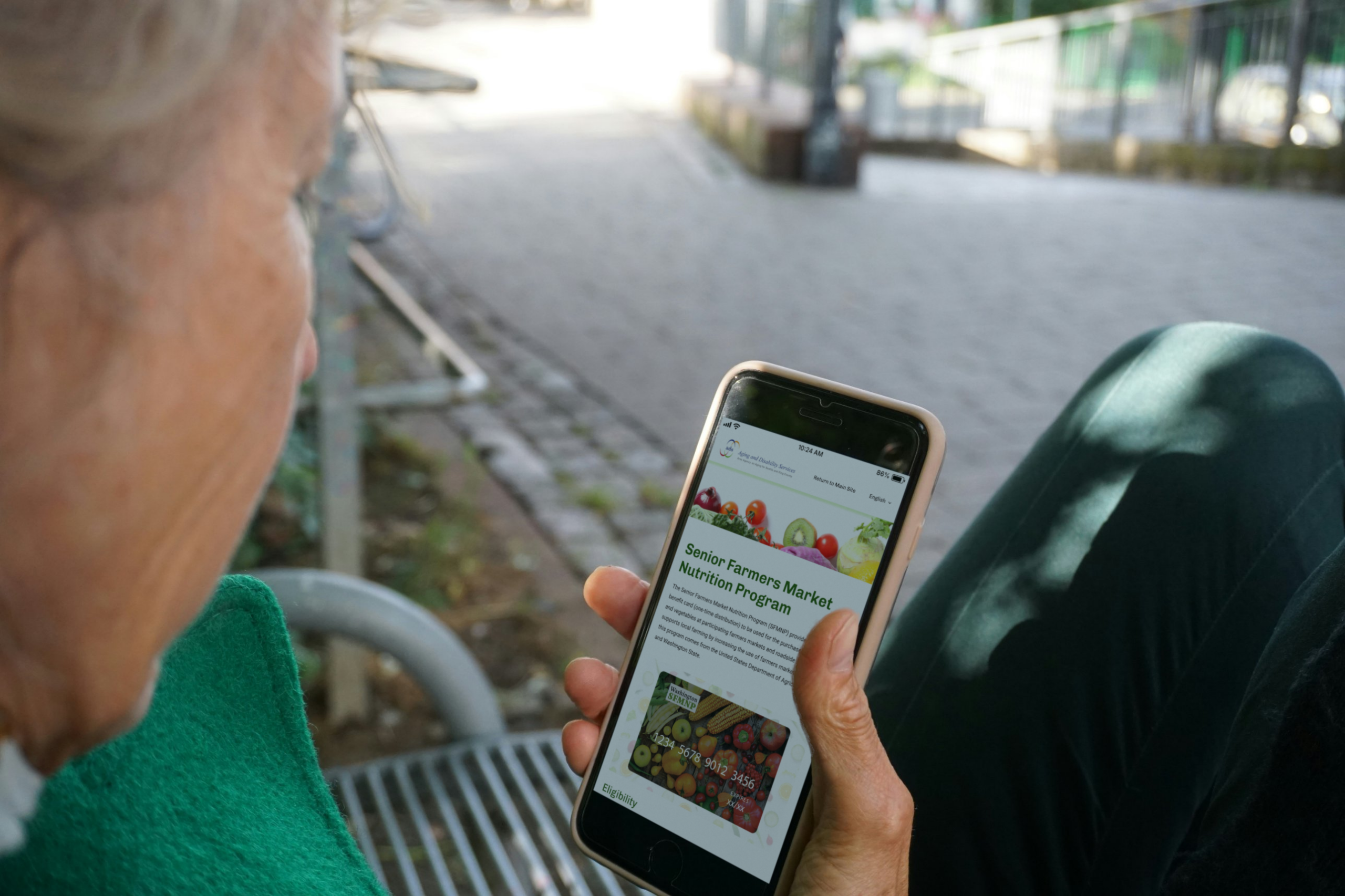 Older adult viewing website Older woman on a park bench viewing the Senior Farmers Market Nutrition Program application on her smartphone.